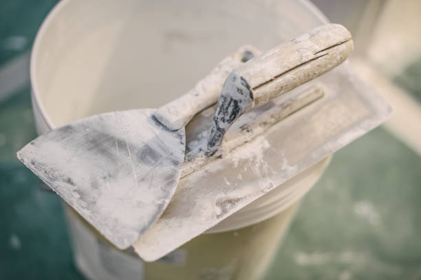 Best Commercial Mold Inspection  in Mendota Heights, MN
